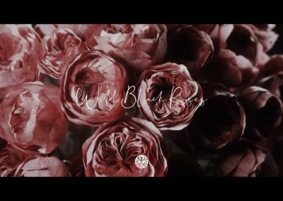 CORAL Fashion Film | Wild Black Roses | 2018