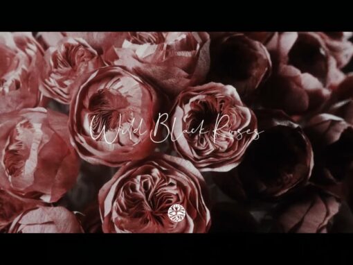 CORAL Fashion Film | Wild Black Roses | 2018