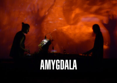 AMYGDALA