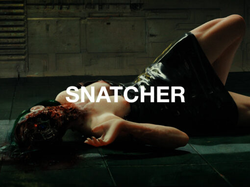 SNATCHER